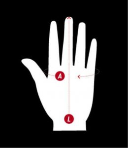 Mierzenie długości i obwodu dłoni