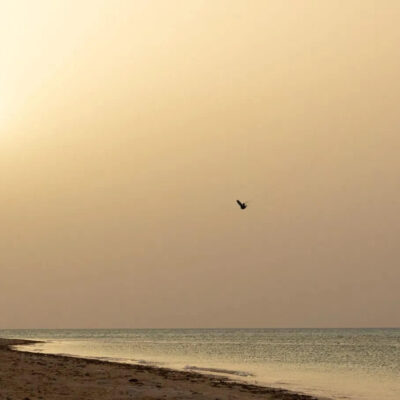 Bar Duotone Trust 2026 - plener