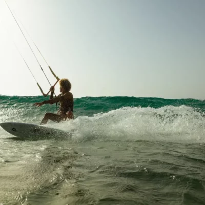 Latawiec Duotone Neo 2026 - C09-heron - plener