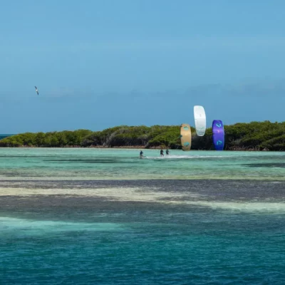 Latawiec Duotone Rebel SLS 2026 - plener