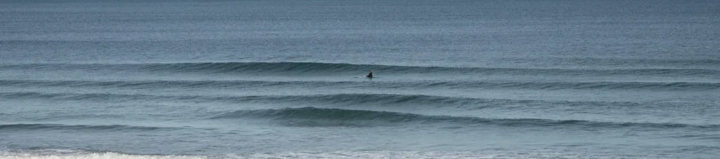 SurfCollective